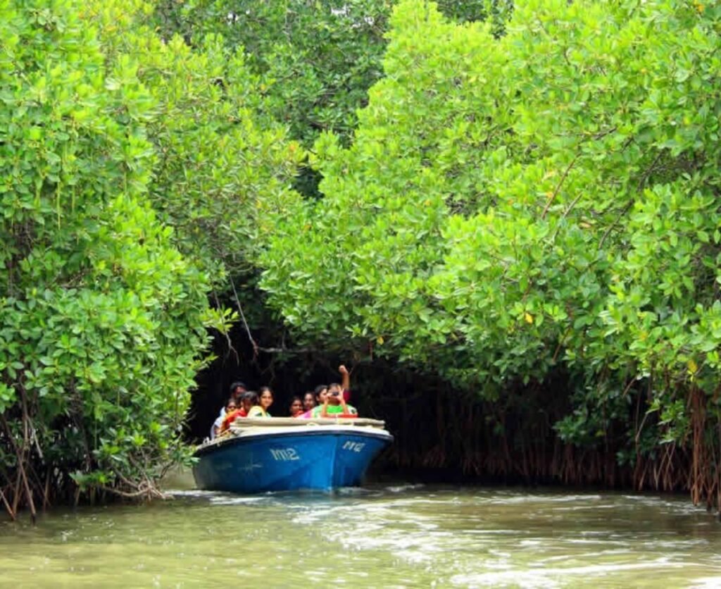 Untitled design (16)